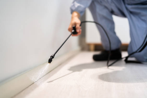 Licensed Pest Control service in Union City, GA - Show Me Pest Control